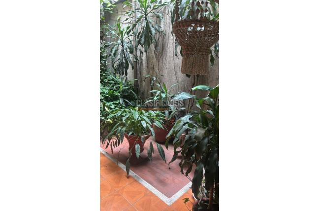 Apartamentos, Alquiler, San Antonio - $1.000.000