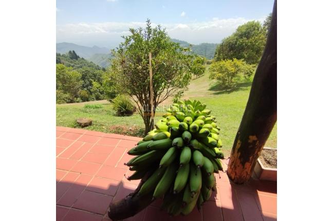 Fincas y Casas Campestres, Venta, Yumbo - $599.930.000