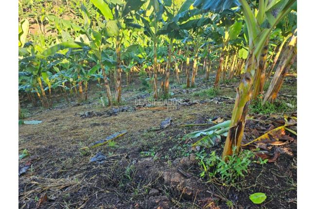 Lotes, Venta en Pereira