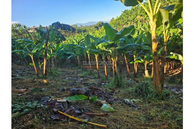 Lotes, Venta en Pereira