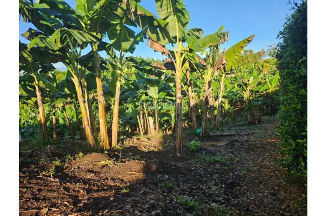 Lotes, Venta, Pereira - $170.000.000