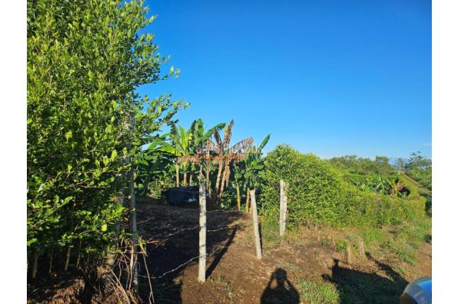 Lotes, Venta en Pereira