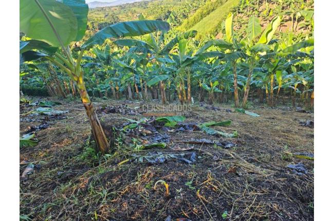 Lotes, Venta en Pereira