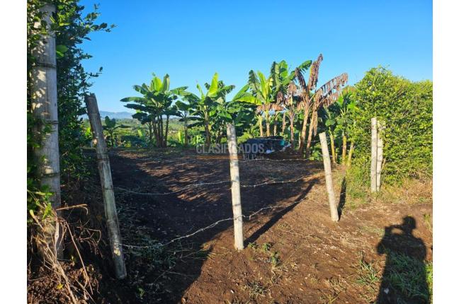 Lotes, Venta, Pereira - $170.000.000