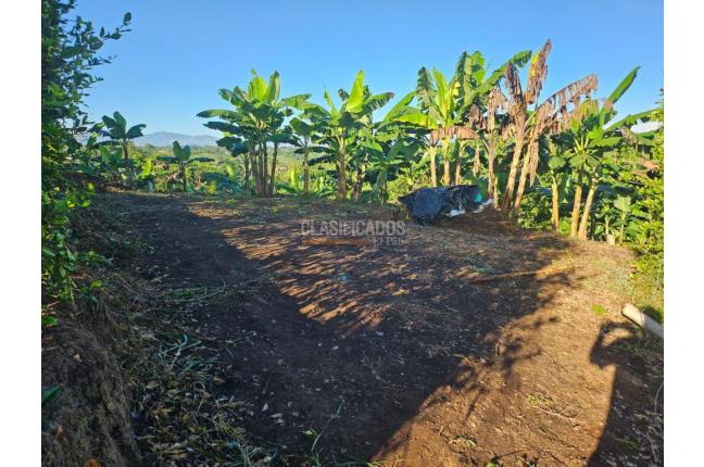 Lotes, Venta, Pereira - $170.000.000