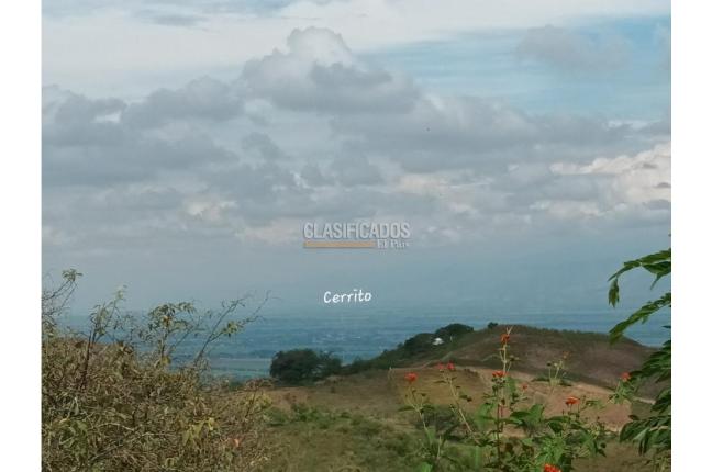 Fincas y Casas Campestres, Venta en Guacarí