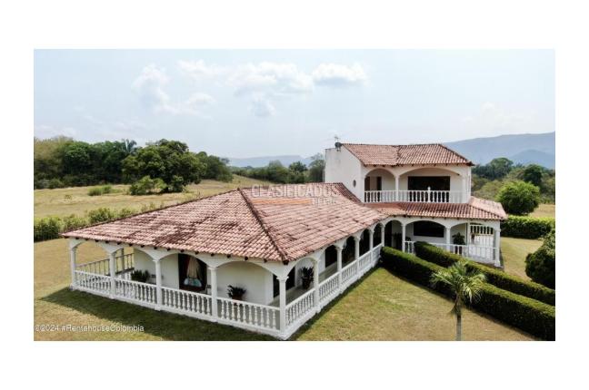 Casas, Venta en Carmen de Apicala