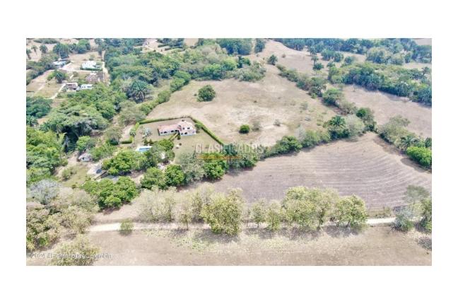 Lotes, Venta, Carmen de Apicala - $2.600.000.000