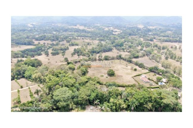 Lotes, Venta, Carmen de Apicala - $2.600.000.000