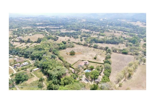 Lotes, Venta, Carmen de Apicala - $2.600.000.000