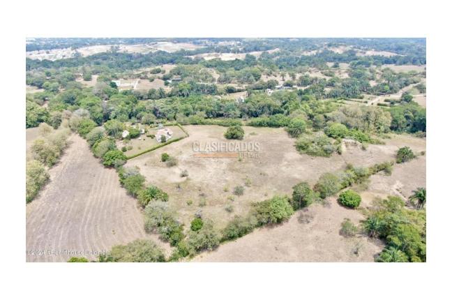 Lotes, Venta, Carmen de Apicala - $170.000.000