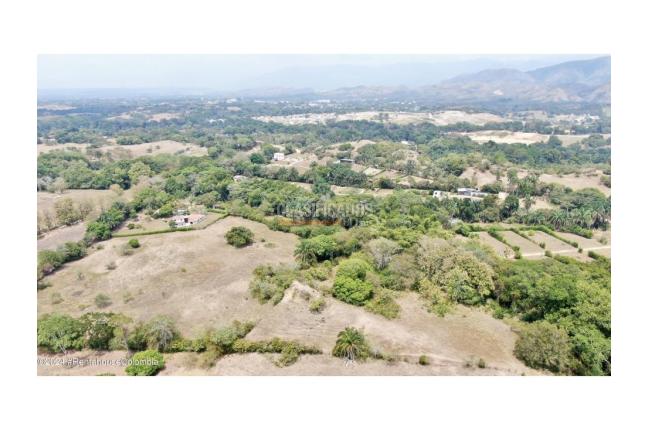 Lotes, Venta, Carmen de Apicala - $170.000.000