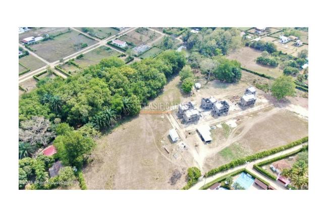 Casas, Venta en Carmen de Apicala