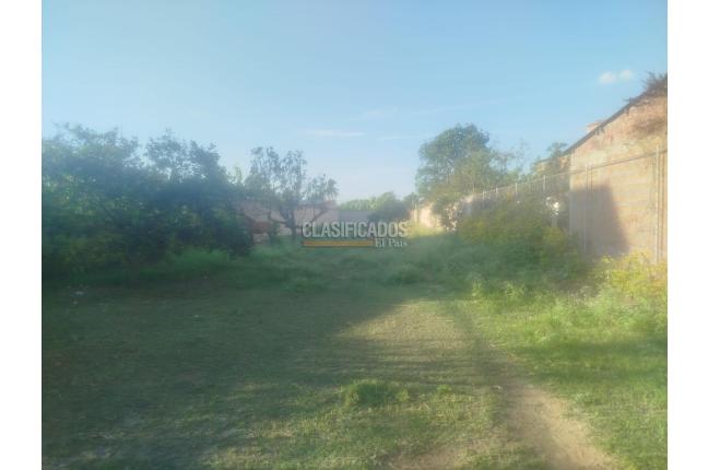 Lotes, Venta, Palmira - $200.000.000