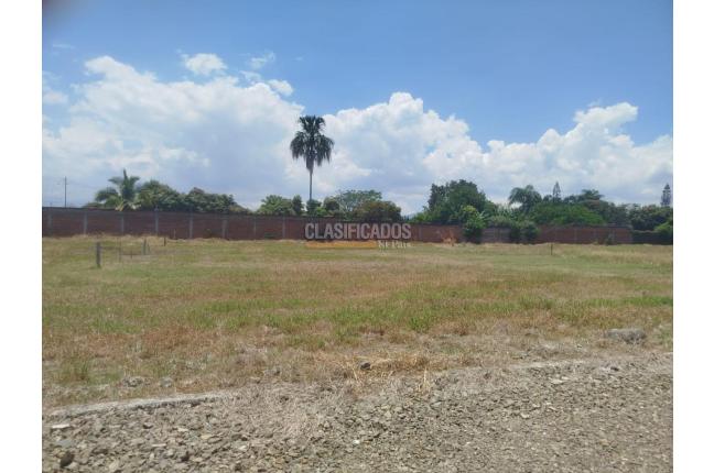 Lotes, Venta en Palmira
