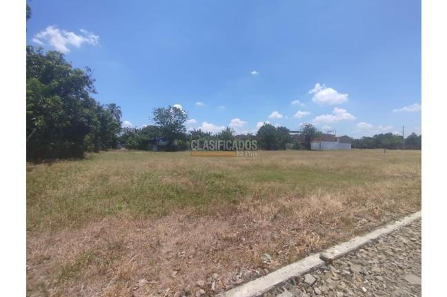 Lotes, Venta, Palmira - $300.000.000