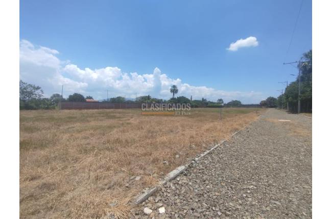 Lotes, Venta, Palmira - $300.000.000