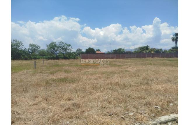 Lotes, Venta, Palmira - $300.000.000
