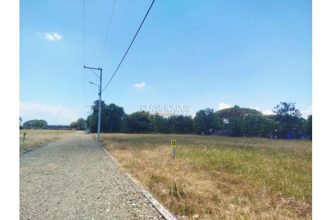 Lotes, Venta, Palmira - $300.000.000