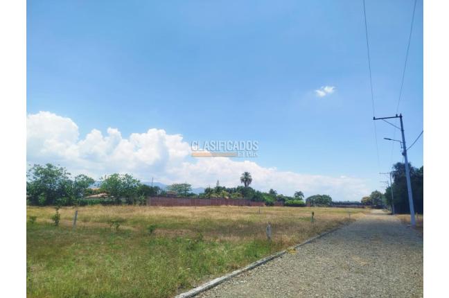 Lotes, Venta, Palmira - $300.000.000