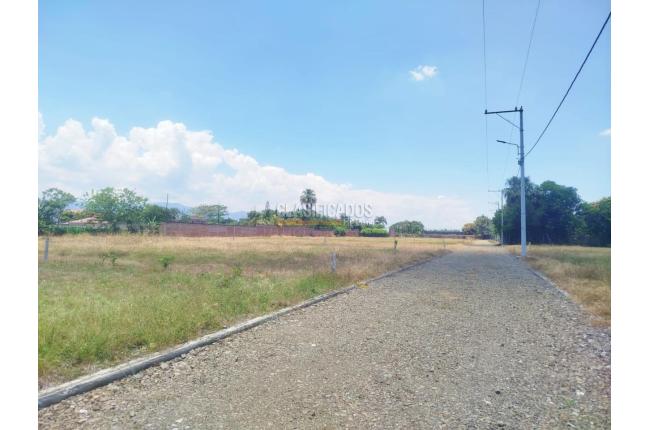 Lotes, Venta, Palmira - $300.000.000