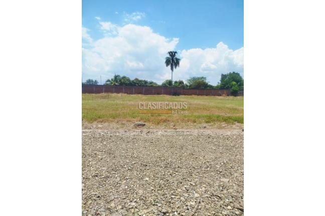 Lotes, Venta, Palmira - $300.000.000