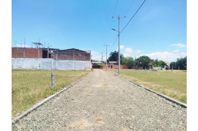 Lotes, Venta, Palmira - $300.000.000