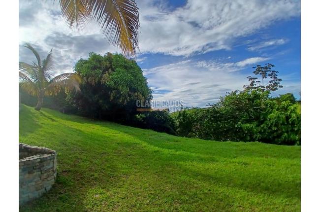 Casas, Alquiler, Pereira - $9.000.000