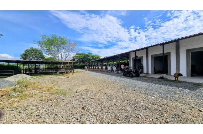 Lotes, Venta en Palmira