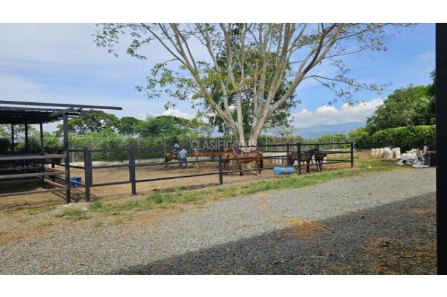 Lotes, Venta en Palmira