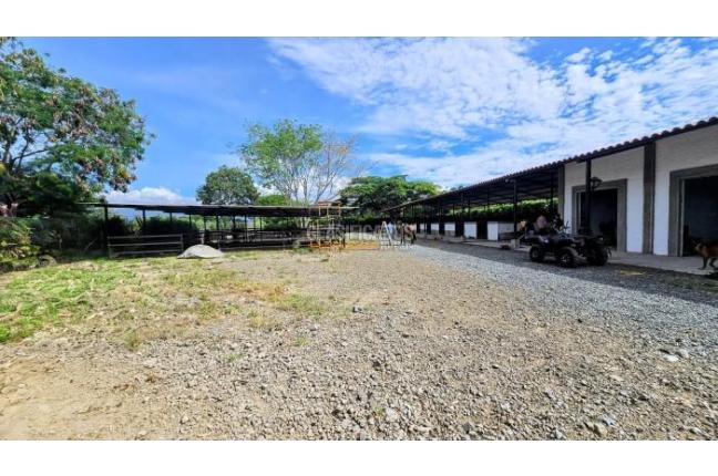 Lotes, Venta en Palmira