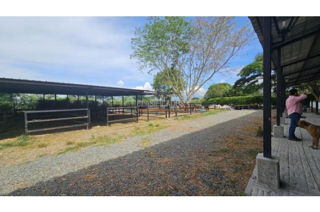 Lotes, Venta, Palmira - $950.000.000