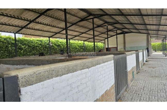 Lotes, Venta, Palmira - $950.000.000
