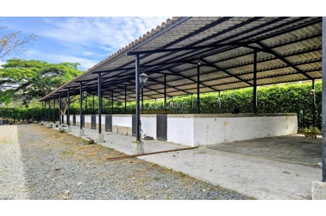 Lotes, Venta, Palmira - $950.000.000