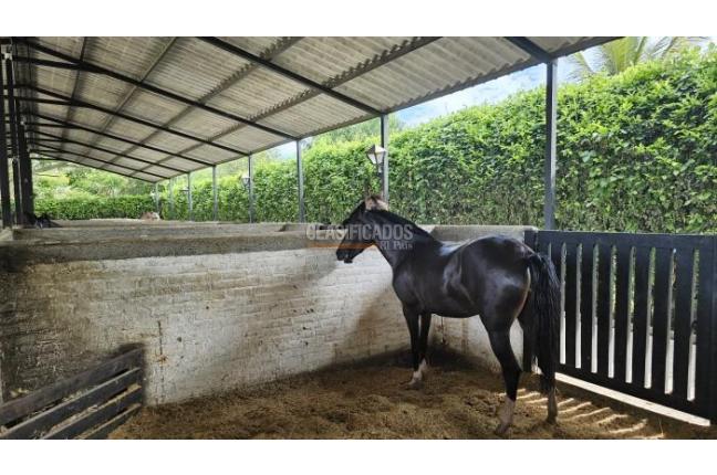 Lotes, Venta, Palmira - $950.000.000