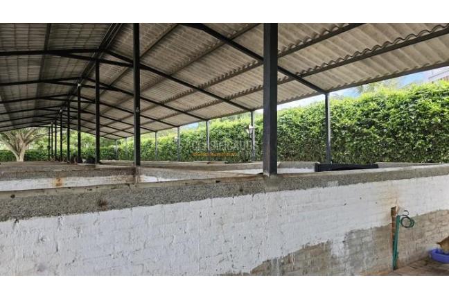 Lotes, Venta, Palmira - $950.000.000