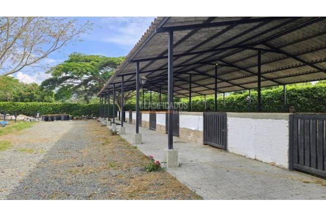 Lotes, Venta, Palmira - $950.000.000