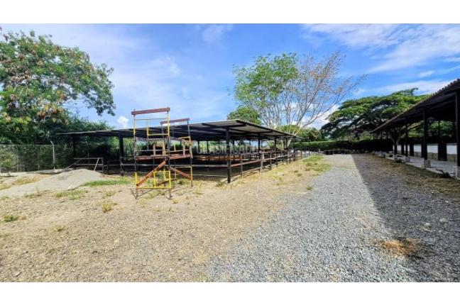 Lotes, Venta, Palmira - $950.000.000