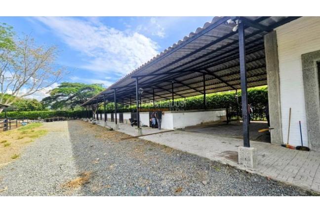 Lotes, Venta, Palmira - $950.000.000