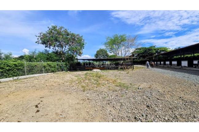 Lotes, Venta, Palmira - $950.000.000