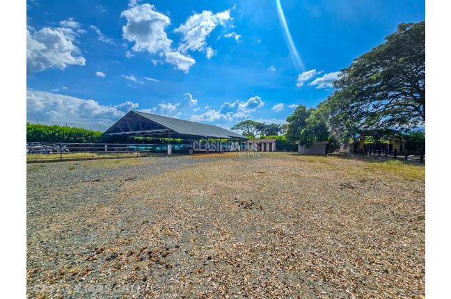 Lotes, Venta en Palmira