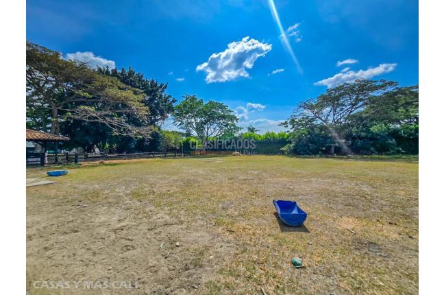 Lotes, Venta en Palmira