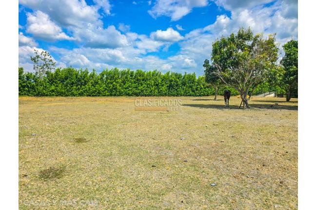 Fincas y Casas Campestres, Venta, Palmira - $3.290.000.000