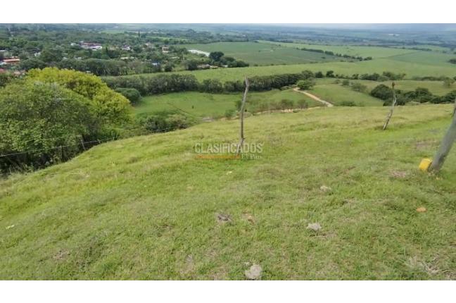 Lotes, Venta, Palmira - $450.000.000