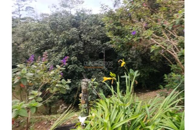 Casas, Venta, Yumbo - $650.000.000