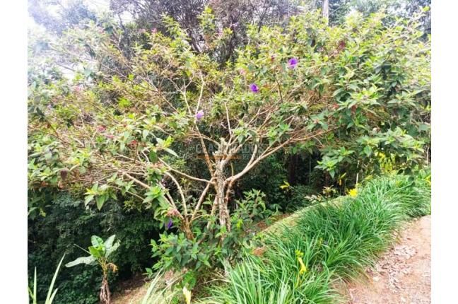 Casas, Venta, Yumbo - $650.000.000