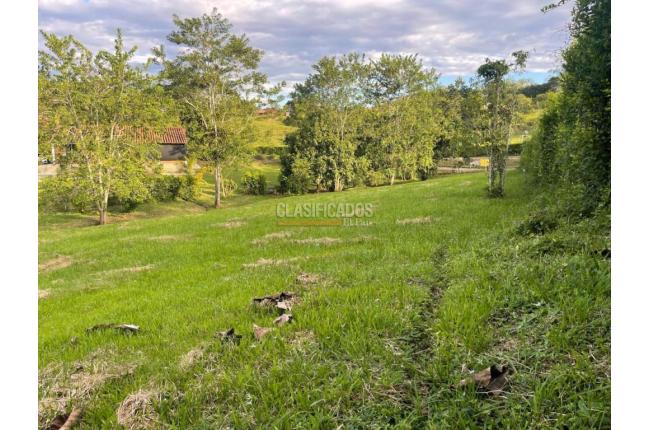 Lotes, Venta, Viterbo - $120.000.000
