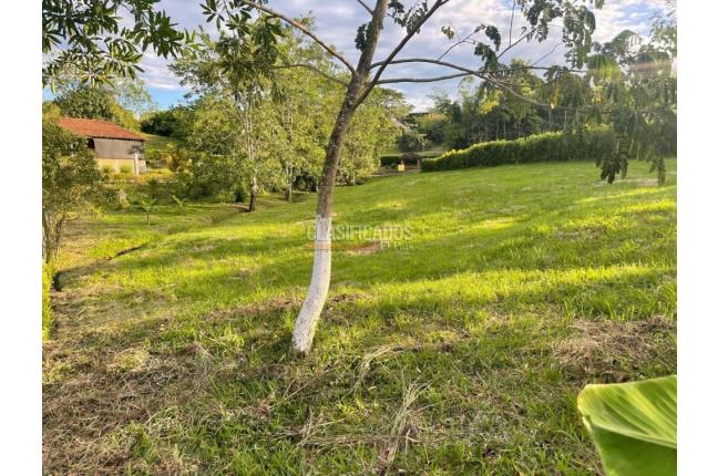Lotes, Venta, Viterbo - $120.000.000
