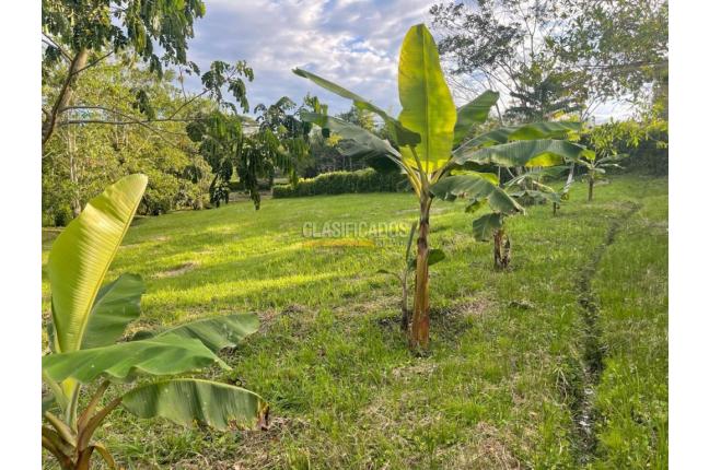 Lotes, Venta, Viterbo - $120.000.000