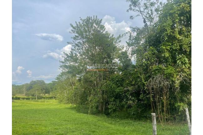 Lotes, Venta, Viterbo - $120.000.000